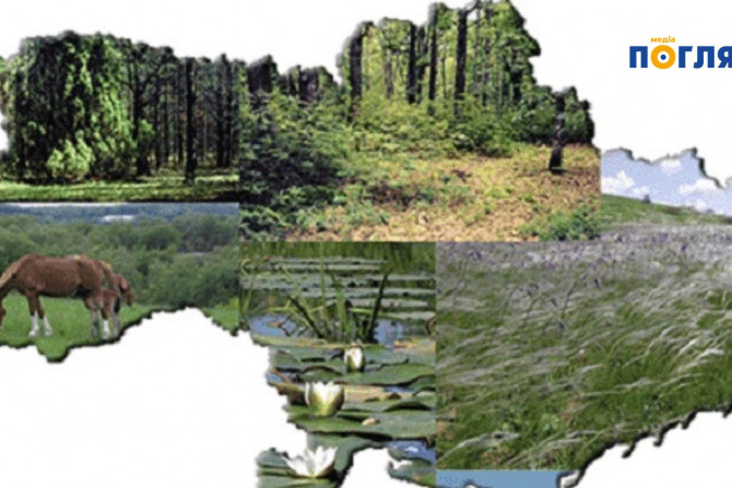 Погляд — новини Київщини онлайн - a14355c3-387f-464c-8b81-8620abf07696 - зображення